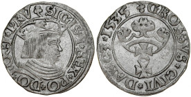 Zygmunt I Stary 1506-1548, Grosz 1535, Gdańsk. Odwrócony trójlistek na rv. RR