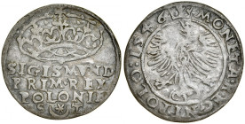 Zygmunt I Stary 1506-1548, Grosz 1546, Kraków.