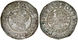 Zygmunt I Stary 1506-1548, Szeląg 1529, Toruń.