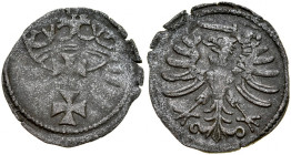 Zygmunt I Stary 1506-1548, Denar bez daty, Gdańsk.