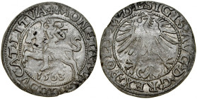 Zygmunt II August 1545-1572, Półgrosz 1563, Wilno. RRR.