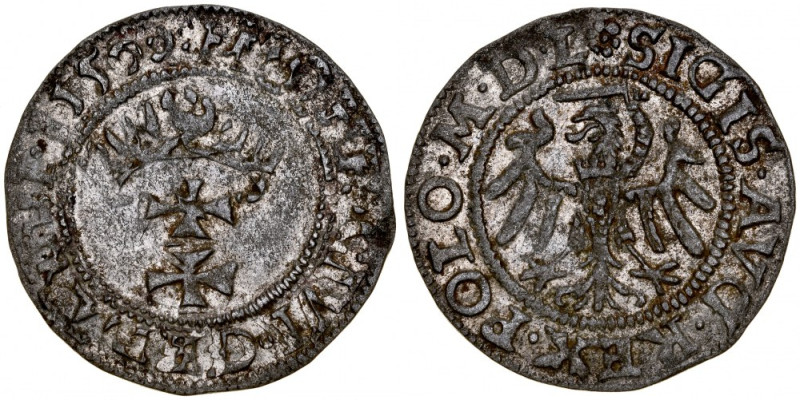 Zygmunt II August 1545-1572, Szeląg 1550, Gdańsk. Kop. 7357 R4, Tyszkiewicz 15 G...