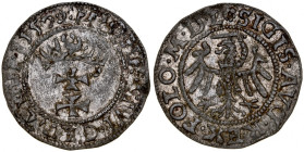 Zygmunt II August 1545-1572, Szeląg 1550, Gdańsk.