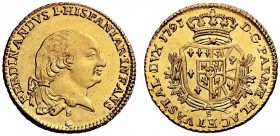 MONETE E MEDAGLIE DI ZECCHE ITALIANE 
 Parma 
 Ferdinando di Borbone duca, 1765-1802. Doppia 1791, AV 7,12 g. FERDINANDVS I HISPANIAR INFANS Testa a...