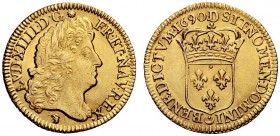 MONETE ESTERE 
 Francia 
 Luigi XIV, 1643-1715. Luigi ”allo scudo” 1690 Lione, AV 6,70 g. Friedberg 429.
 q.Spl