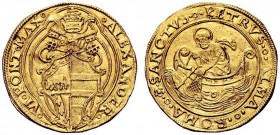UNA PRESTIGIOSA COLLEZIONE DI MONETE DEI ROMANI PONTEFICI 
 Alessandro VI (Rodrigo de Borja y Borja), 1492 – 1503 
 Doppio fiorino di camera, AV 6,7...