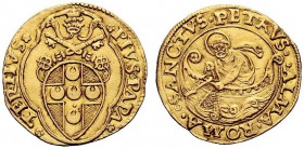 UNA PRESTIGIOSA COLLEZIONE DI MONETE DEI ROMANI PONTEFICI 
 Pio III (Francesco Todeschini-Piccolomini), 22 settembre – 17 ottobre 1503 
 Fiorino di ...