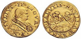 UNA PRESTIGIOSA COLLEZIONE DI MONETE DEI ROMANI PONTEFICI 
 Giulio II (Giuliano della Rovere), 1503 – 1513 
 Doppio fiorino di camera, AV 6,60 g. IV...