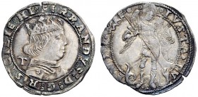 SECONDA PARTE - MONETE DI ZECCHE ITALIANE 
 Napoli 
 Ferdinando I d’Aragona, 1458-1494. Coronato, AR 3,94 g. Pannuti-Riccio 17b. MIR 69/2.
 q.Spl