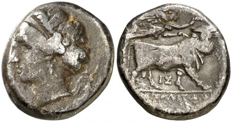 (340-241 a.C.). Italia. Neápolis. Didracma. (S. 309 var) (BMC. I, falta). 6,97 g...