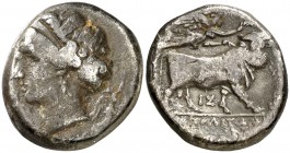 (340-241 a.C.). Italia. Neápolis. Didracma. (S. 309 var) (BMC. I, falta). 6,97 g. BC+/MBC-.