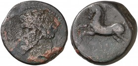 Micipsa (148-118 a.C.). Numidia. AE 27. (S. 6597). 15,33 g. MBC-/MBC.