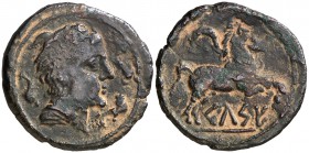 Celse (Velilla de Ebro). Semis. (FAB. 788) (ACIP. 1486). 4,53 g. Escasa. MBC.