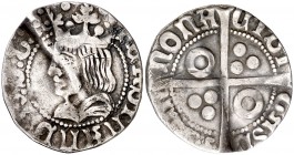 Ferran II (1479-1516). Barcelona. Croat. (Cru.V.S. 1141.8) (Badia 815 sim, como tipo VIII) (Cru.C.G. 3070g). 2,12 g. Doblada y enderezada. Recortada. ...