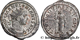 FLORIANUS
Type : Aurelianus 
Date : septembre - octobre 
Date : 276 
Mint name / Town : Lyon 
Metal : billon 
Millesimal fineness : 50  ‰
Diameter : 2...