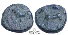 Cyprus, Salamis. Evagoras II circa 361-351 BC., Æ 15, lion, ram's head above / horse. 14 mm, 3.39 g.