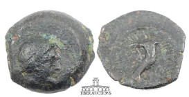 Egypt, Ptolemaic Kings of. Ptolemy IV Philopater 225-205 BC., Æ Chalkous. Paphos mint. Arsinoe III / Double cornucopia tied with fillets. 14 mm, 1.80 ...