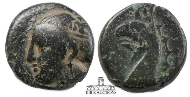 IONIA, Phokaia. Æ 12, circa 300 BC., Female head / Head of griffin. 12 mm, 1.76 ...