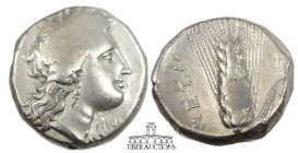LUCANIA, Metapontion. AR Nomos, circa 325-280 BC. Demeter / Barley ear with seven grains, META. 19 mm, 7.77 g.