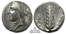 LUCANIA, Metapontion. AR Nomos, circa 325-280 BC. Demeter / Barley ear with seven grains, META. 19 mm, 7.68 g.