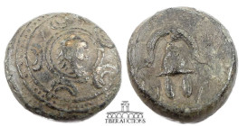Kings of Macedon. Philip III - Antigonos I 323-310 BC., Æ 1/2 Unit, Heracles / Helmet. 16 mm, 4.67 g.