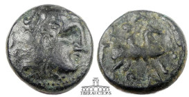 Kings of Macedon. Antigonos II Gonatas. 277/6-239 BC. Æ Unit, Head of Herakles right, wearing lion skin / Rider on horseback right. 19 mm, 4.02 g.