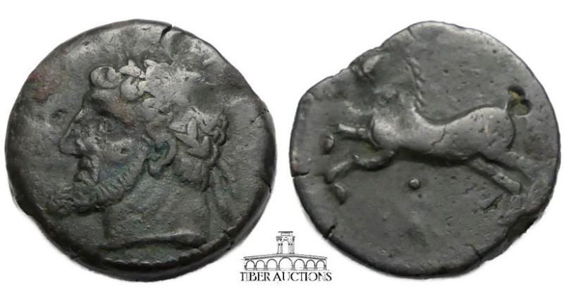 Kings of NUMIDIA. Micipsa, circa 148-118 BC., Æ 25, Laureate and bearded head le...