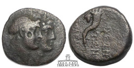 2nd century BC. A. Jugate heads of the Dioscuri right. Rev. Cornucopia to right, monogram to outer left. 14 mm, 2.38 g.