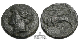 SICILY, Syracuse. Agathokles 317-289 BC., Æ 20, Head of Persephone left wearing wreath of grain ears; amphora behind / Bull butting left; monogram abo...