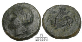 SICILY, Syracuse. Time of Timoleon 344-317 BC. Æ 18, Wreathed head of Kore left / Pegasus flying left. 18 mm, 5.31 g.