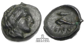 SKYTHIA, Olbia. Æ 8, Circa 380-360 BC., Head of Demeter right / Grain ear left above dolphin left. 8 mm, .60 g.
