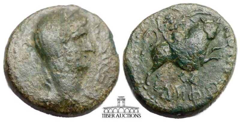 MACEDON, Amphipolis. Hadrian. AD 117-138. Æ 21. Bare head right / Artemis Taurop...