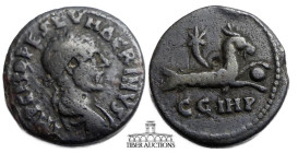 MYSIA, Parium. Macrinus. AD 217-218.  Æ 21. Bust of Severus Alexander / Capricorn right, with globe between hooves and cornucopia. 26 mm, 7.37 g.