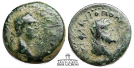 CILICIA, Flaviopolis. Domitian. 81-96 AD. Æ 16 DOMETIANOC KAICAP, laureate head right / ETOVC ZI FLAUIOPOLEITWN, veiled head of Kronos right, harpa at...