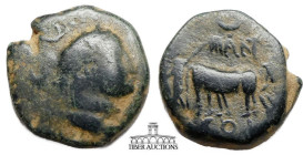 PISIDIA, Antiochia. Titus. AD 79-81. Æ 20. Laureate head right / Founder plowing right with yoke of oxen. 20 mm, 7.94 g.