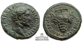 Thrace, Hadrianopolis. Antoninus Pius. AD 138-161. Æ 18. Bare head of Antoninus Pius / Bunch of grapes on stem with leaf. 18 mm, 3.92 g.