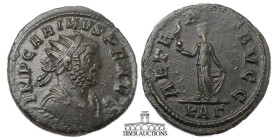 Carinus, as Caesar AD 282-283. Æ Antoninianus. Aeternitas standing front holding Phoenix on globe in her right hand and raising skirt with left; KAΓ. ...