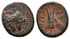 Greek Coins. 4th - 3rd century B.C. AE 

Reference:

Condition: Very Fine

weight:4,1gr