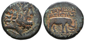 Greek Coins. 4th - 3rd century B.C. AE 

Reference:

Condition: Very Fine

weight:7,9gr
