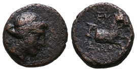 Greek Coins. 4th - 3rd century B.C. AE 

Reference:

Condition: Very Fine

weight:3,5gr
