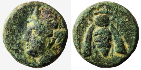 IONIA, Ephesus. Ae 305-288 BC AE
Weight 1,41 gr - Diameter 10,50 mm