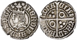 Ferran II (1479-1516). Barcelona. Mig croat. (Cru.V.S. 1143 var) (Badia 847, mismo ejemplar) (Cru.C.G. 3076e). 1,63 g. Glóbulos grandes y dos puntitos...