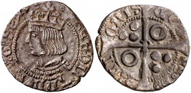 Ferran II (1479-1516). Perpinyà. Croat. (Cru.V.S. 1152 var) (Badia falta) (Cru.C.G. 3072c var). 3,11 g. Muy rara. MBC+.