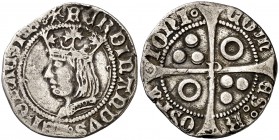 Ferran II (1479-1516). Perpinyà. Croat. (Cru.V.S. 1156) (Badia 921) (Cru.C.G. 3075h). 2,96 g. Rara. MBC.