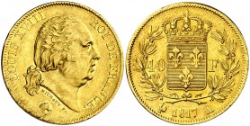 1817. Francia. Luis XVIII. A (París). 40 francos. (Fr. 532) (Kr. 713.5). 12,82 g. AU. Parte de brillo original. Rayitas de acuñación. EBC-.