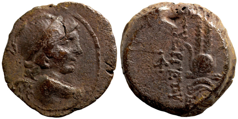 Seleucis and Pieria. 1st century BC Seleukid Kingdom

19mm 6,47g