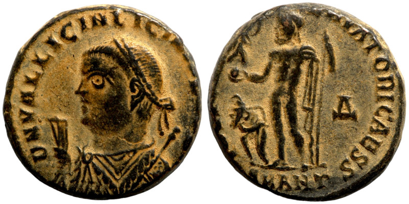 Licinius II (315-324 ) Follis

16mm 3,84g