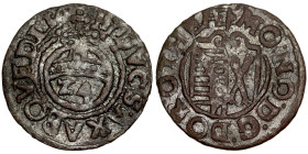 World coin