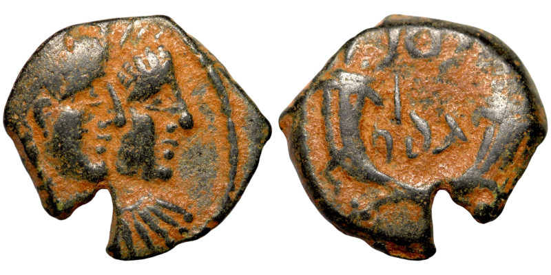 NABATEA Bronze Petra 9 BC-40 AD Aretas IV

17mm 3,52g