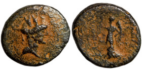 Seleucid Kingom Bronze 2-1 Century BC